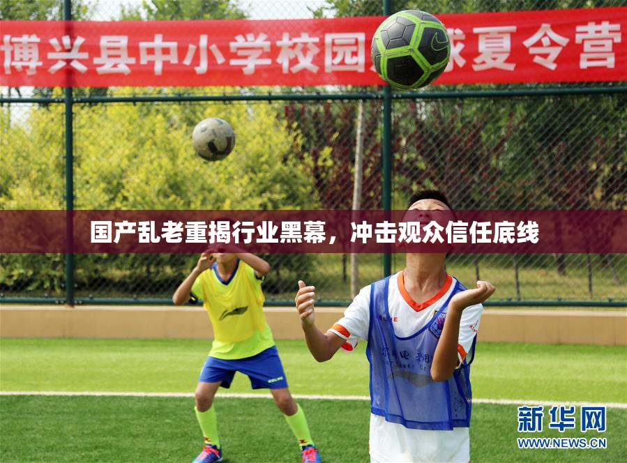 国产乱老重揭行业黑幕，冲击观众信任底线