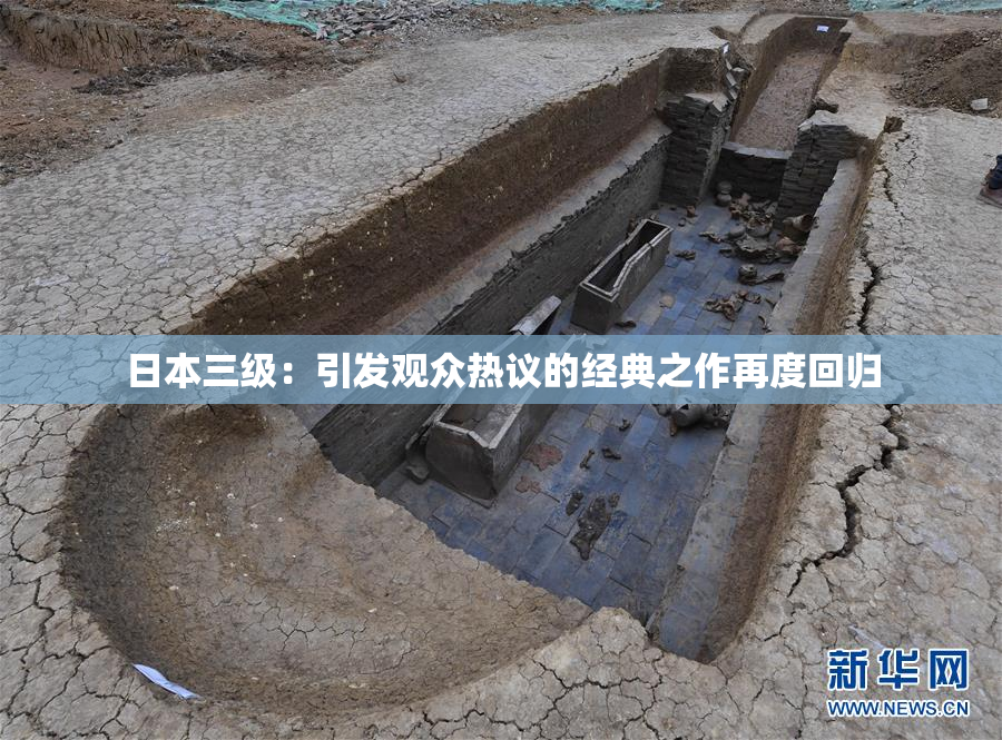 日本三级：引发观众热议的经典之作再度回归