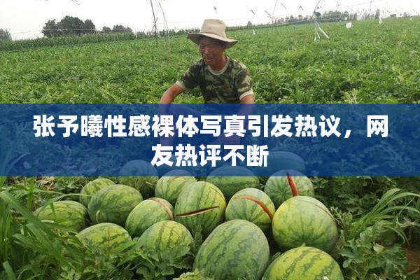 张予曦性感裸体写真引发热议，网友热评不断
