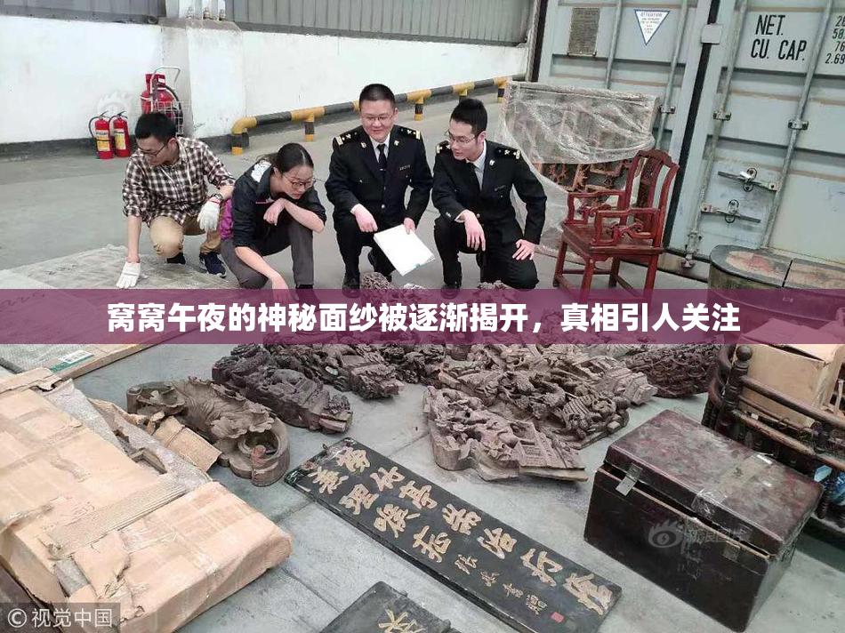 窝窝午夜的神秘面纱被逐渐揭开，真相引人关注