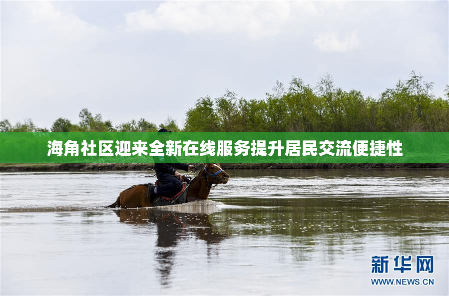 海角社区迎来全新在线服务提升居民交流便捷性
