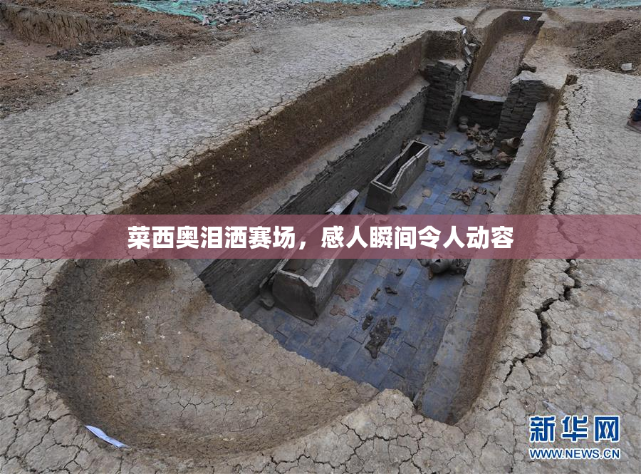 菜西奥泪洒赛场，感人瞬间令人动容