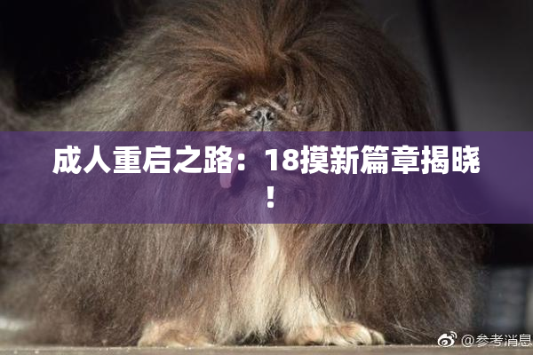 成人重启之路：18摸新篇章揭晓！