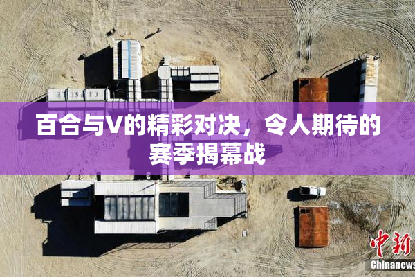 百合与V的精彩对决，令人期待的赛季揭幕战