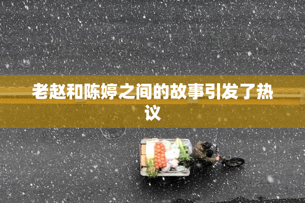 老赵和陈婷之间的故事引发了热议
