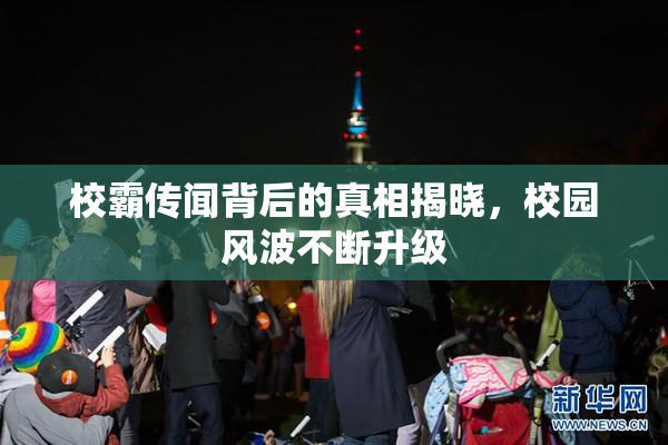 校霸传闻背后的真相揭晓，校园风波不断升级