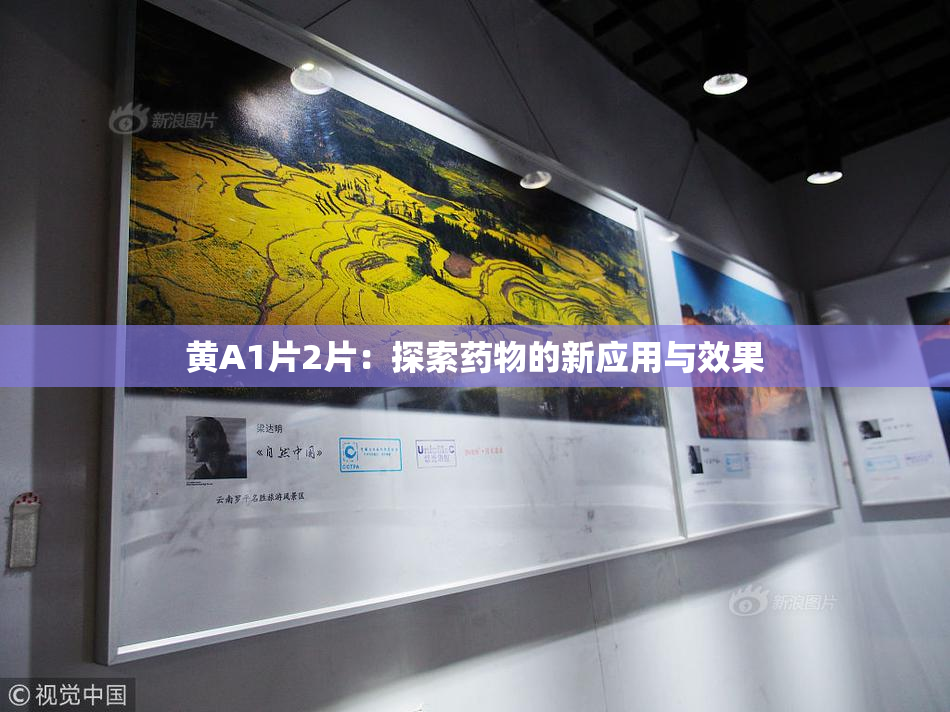 黄A1片2片：探索药物的新应用与效果