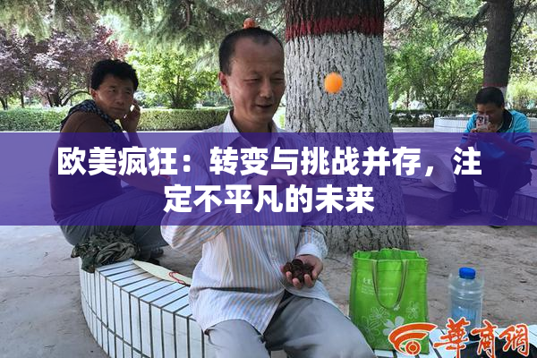 欧美疯狂：转变与挑战并存，注定不平凡的未来