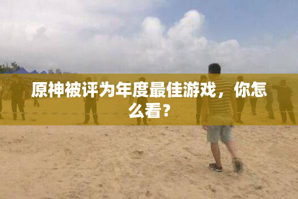 原神被评为年度最佳游戏，你怎么看？