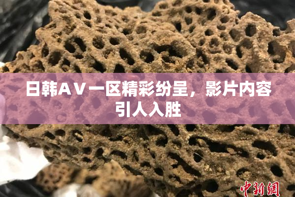 日韩AⅤ一区精彩纷呈，影片内容引人入胜