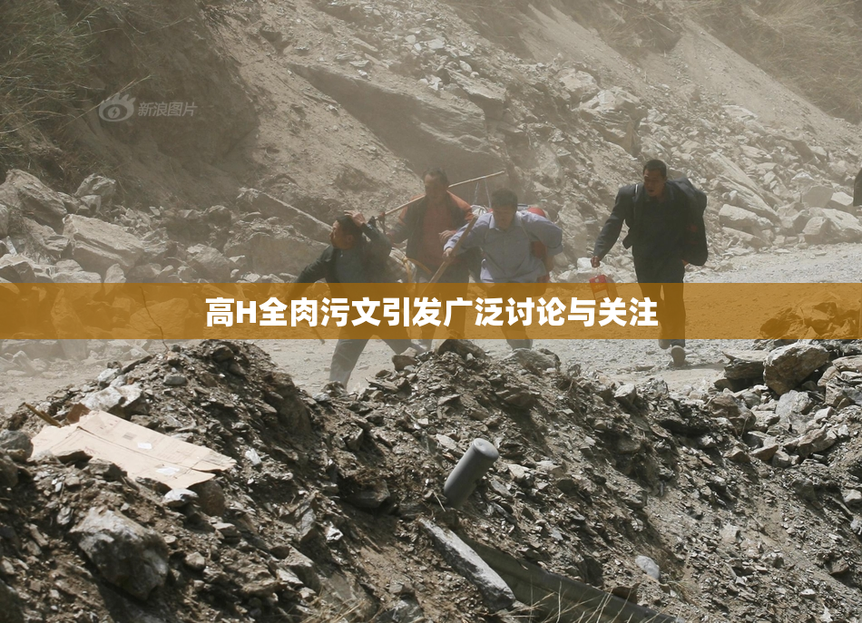 高H全肉污文引发广泛讨论与关注
