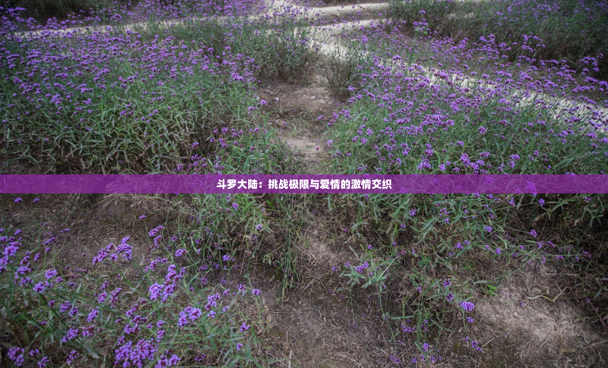 斗罗大陆：挑战极限与爱情的激情交织