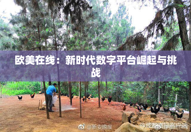 欧美在线：新时代数字平台崛起与挑战