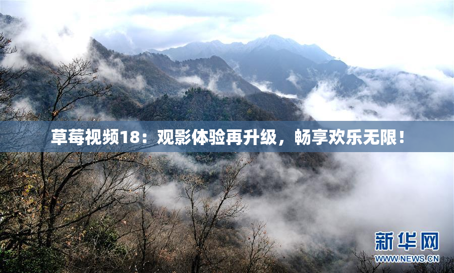 草莓视频18：观影体验再升级，畅享欢乐无限！