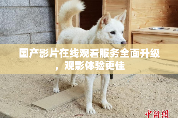 国产影片在线观看服务全面升级，观影体验更佳