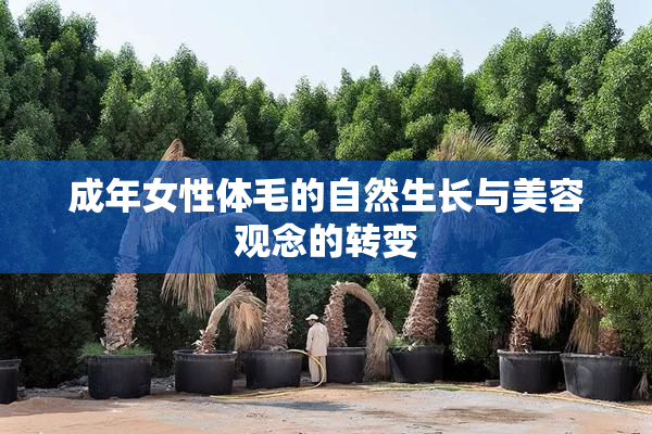 成年女性体毛的自然生长与美容观念的转变