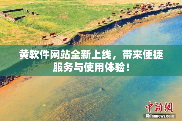 黄软件网站全新上线，带来便捷服务与使用体验！
