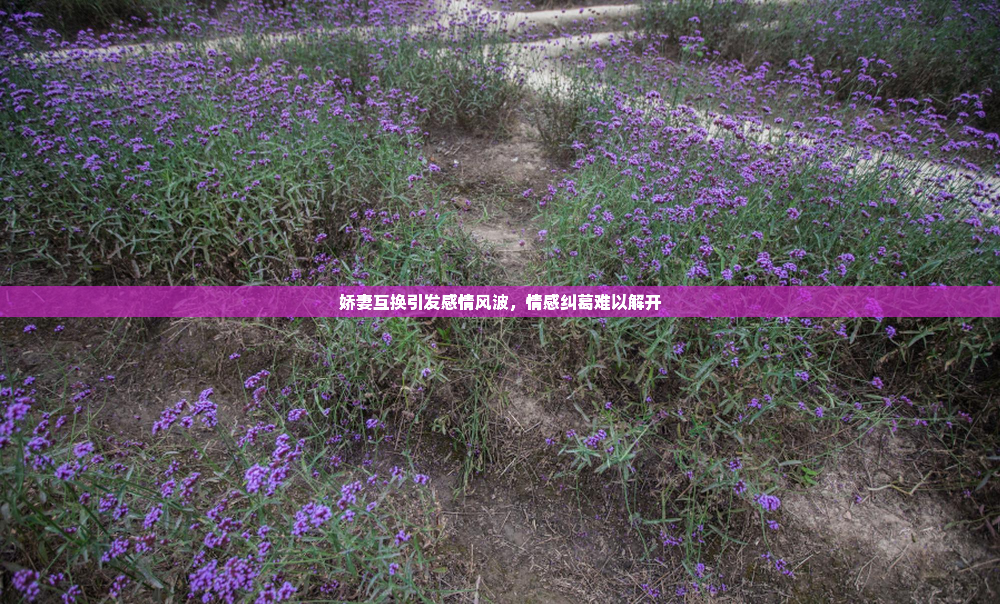 娇妻互换引发感情风波，情感纠葛难以解开