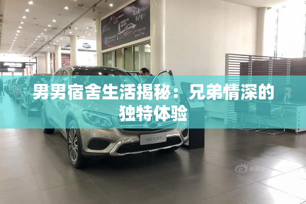 男男宿舍生活揭秘：兄弟情深的独特体验