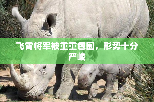 飞霄将军被重重包围，形势十分严峻