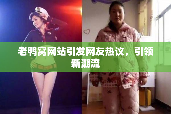 老鸭窝网站引发网友热议，引领新潮流