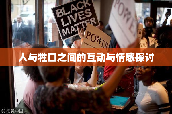 人与牲口之间的互动与情感探讨