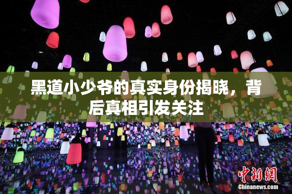 黑道小少爷的真实身份揭晓，背后真相引发关注