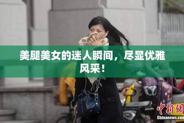 美腿美女的迷人瞬间，尽显优雅风采！