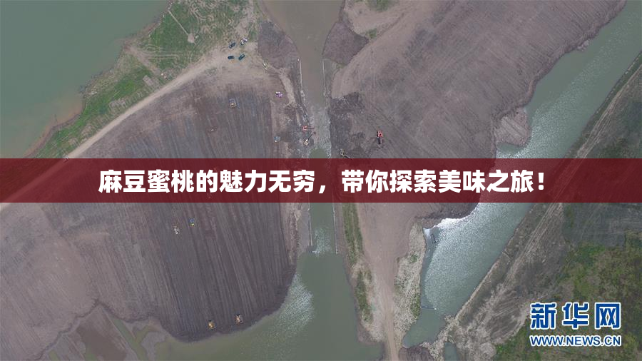麻豆蜜桃的魅力无穷，带你探索美味之旅！
