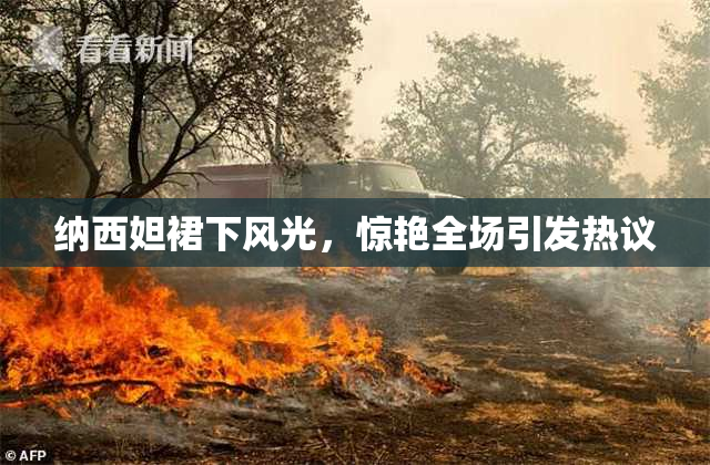 纳西妲裙下风光，惊艳全场引发热议