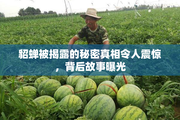 貂蝉被揭露的秘密真相令人震惊，背后故事曝光