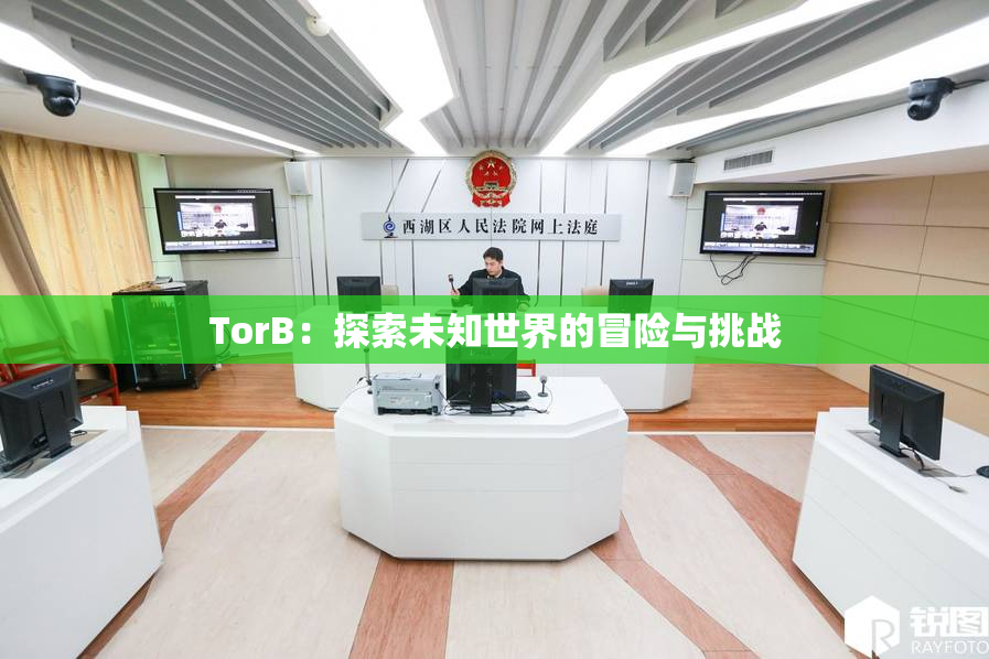 TorB：探索未知世界的冒险与挑战