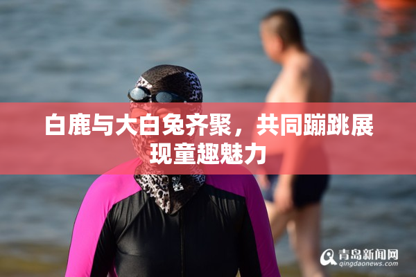 白鹿与大白兔齐聚，共同蹦跳展现童趣魅力