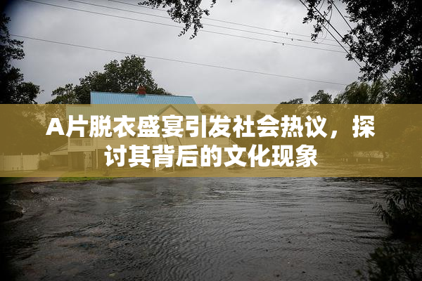 A片脱衣盛宴引发社会热议，探讨其背后的文化现象