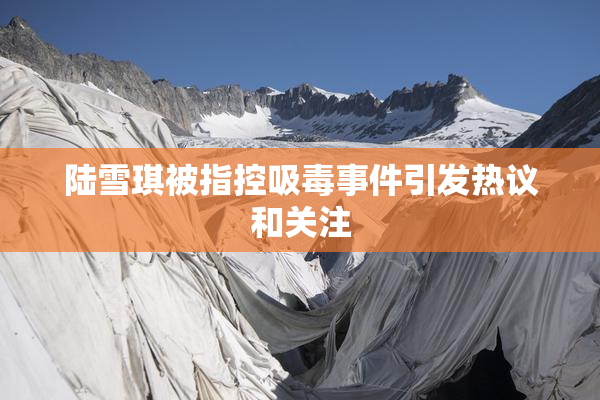 陆雪琪被指控吸毒事件引发热议和关注