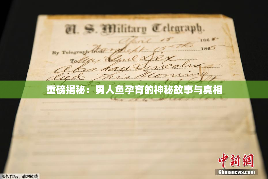 重磅揭秘：男人鱼孕育的神秘故事与真相