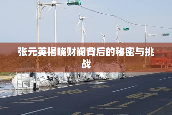 张元英揭晓财阀背后的秘密与挑战