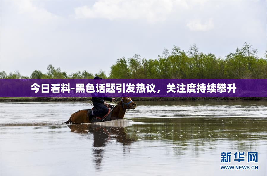 今日看料-黑色话题引发热议，关注度持续攀升
