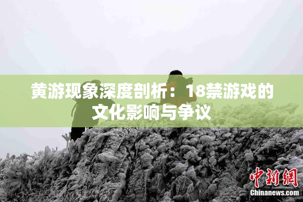 黄游现象深度剖析：18禁游戏的文化影响与争议