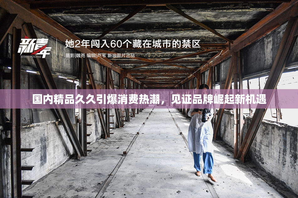 国内精品久久引爆消费热潮，见证品牌崛起新机遇