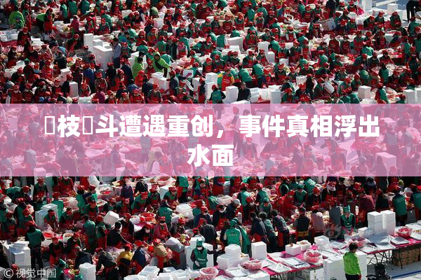 狛枝凪斗遭遇重创，事件真相浮出水面