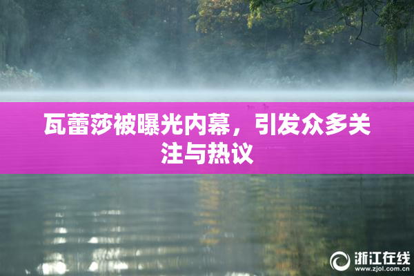瓦蕾莎被曝光内幕，引发众多关注与热议