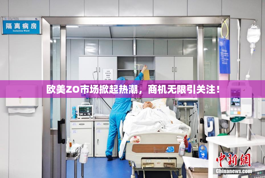 欧美ZO市场掀起热潮，商机无限引关注！