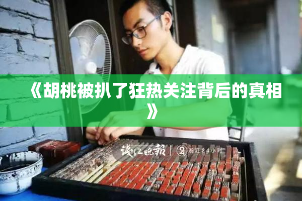 《胡桃被扒了狂热关注背后的真相》