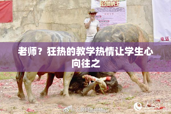 老师？狂热的教学热情让学生心向往之