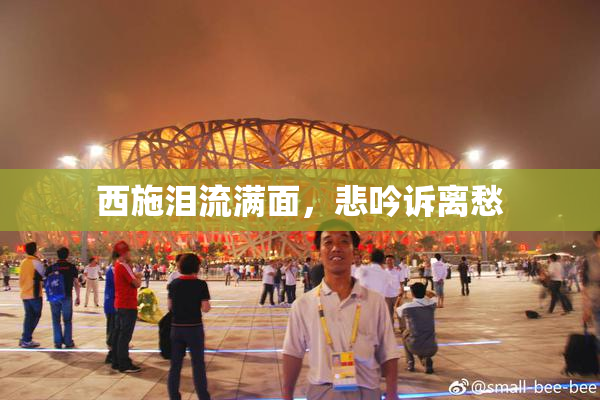 西施泪流满面，悲吟诉离愁