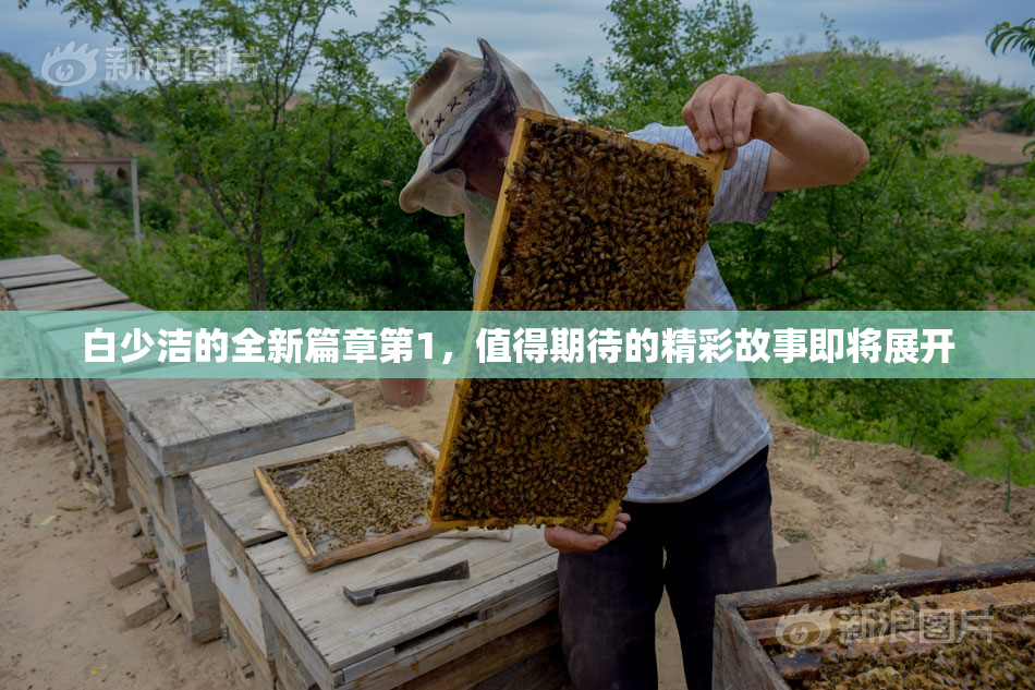 白少洁的全新篇章第1，值得期待的精彩故事即将展开