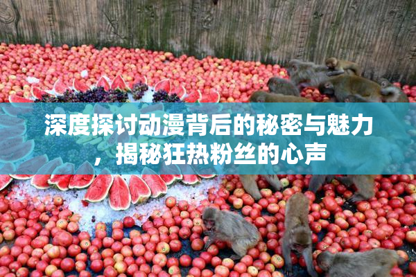 深度探讨动漫背后的秘密与魅力，揭秘狂热粉丝的心声