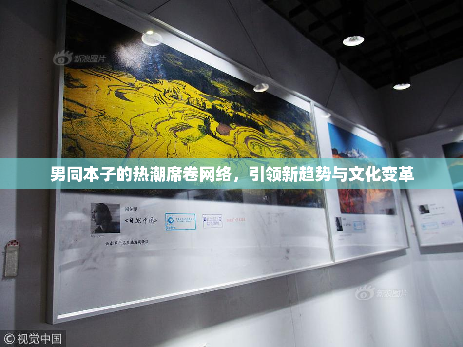 男同本子的热潮席卷网络，引领新趋势与文化变革