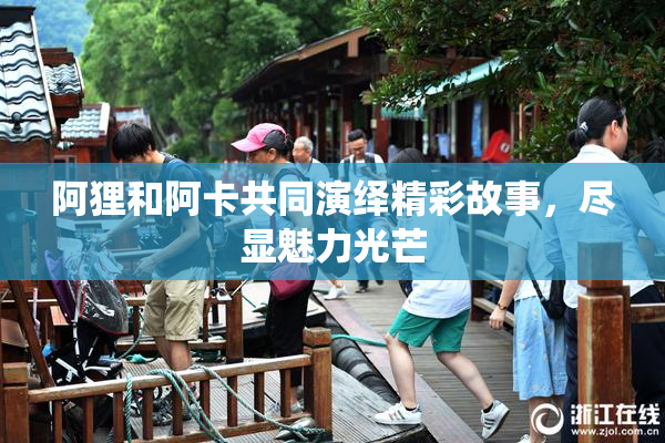 阿狸和阿卡共同演绎精彩故事，尽显魅力光芒